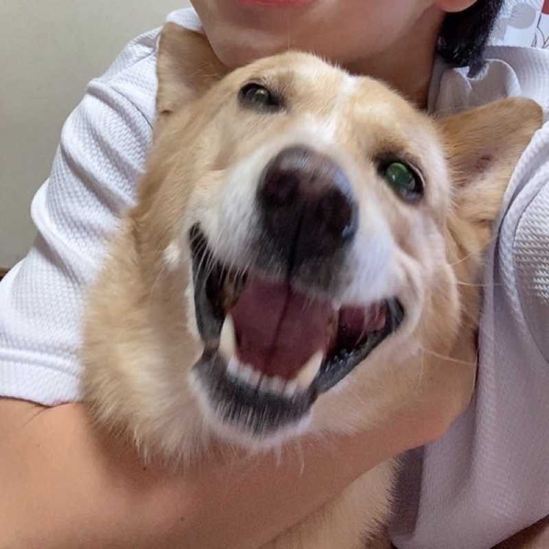 と
