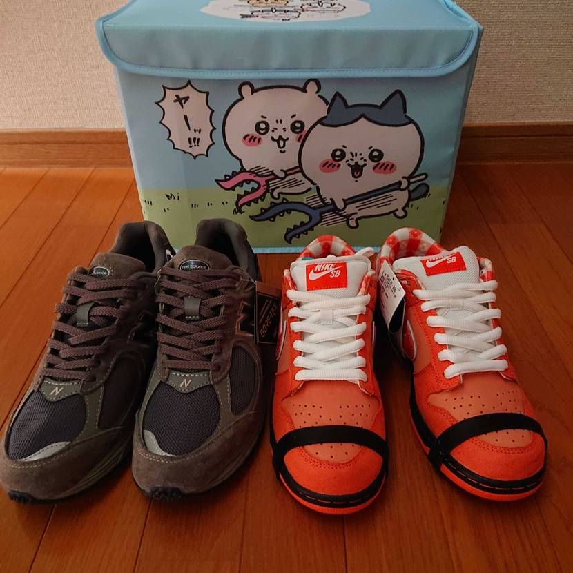 NIKE履かないシリーズ　NO.8

Reebok ワー