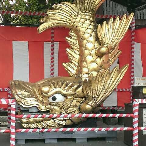 あめんぼ