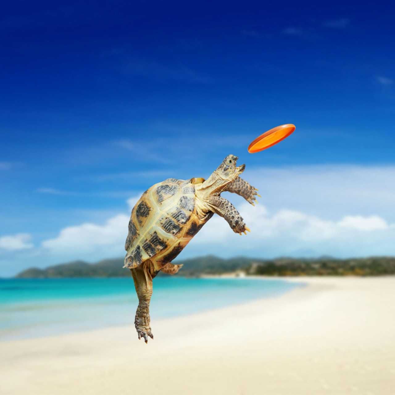 ユーザーアイコン