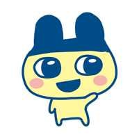 たまご(出品者)