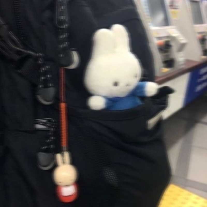 たいせい