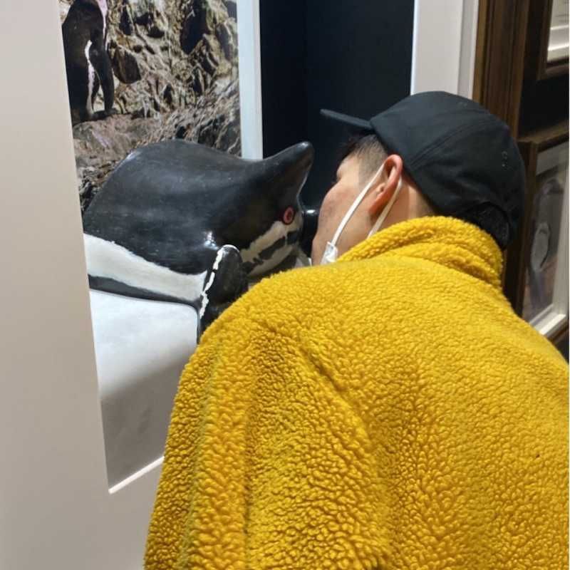 やまもり  まさき(出品者)