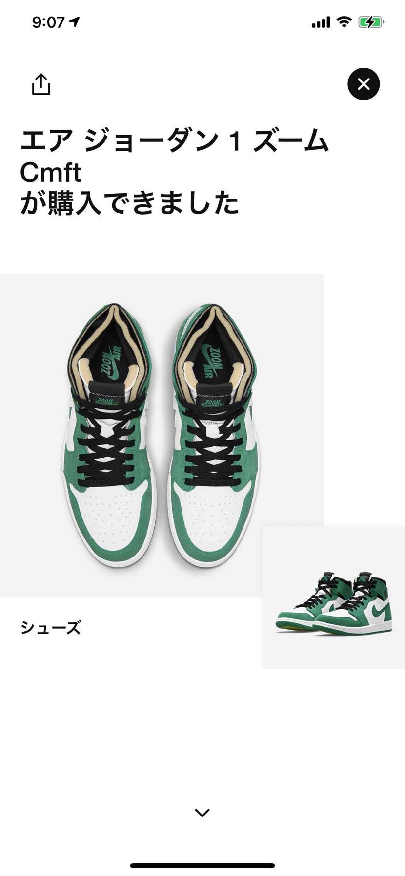 いけた！！！！！！ズームだろうがなんだろうが欲しい色だったから最高！！！！！！