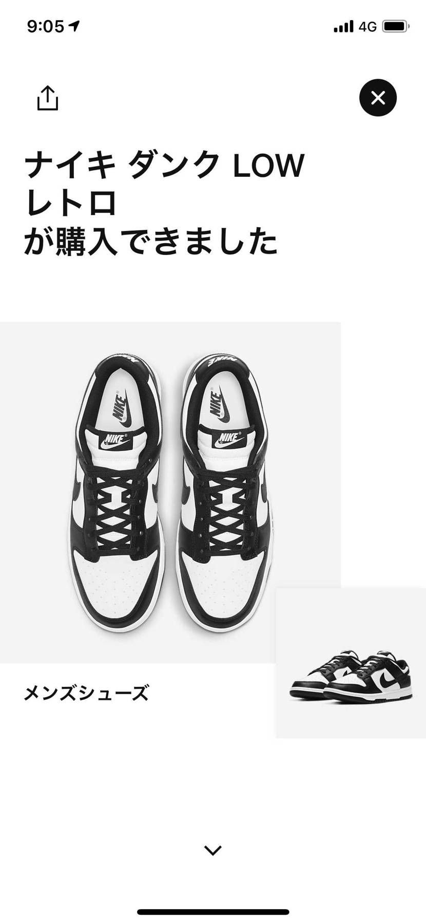 きたーー😆😆