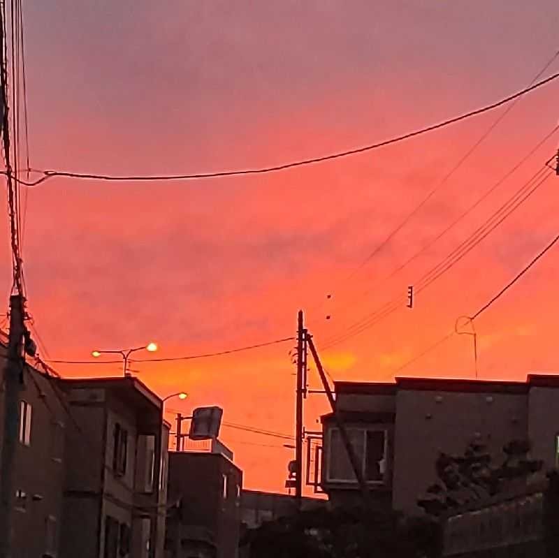 たこやき