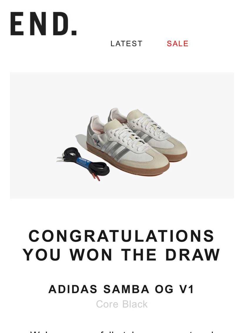 可愛いサンバ手に入りました！