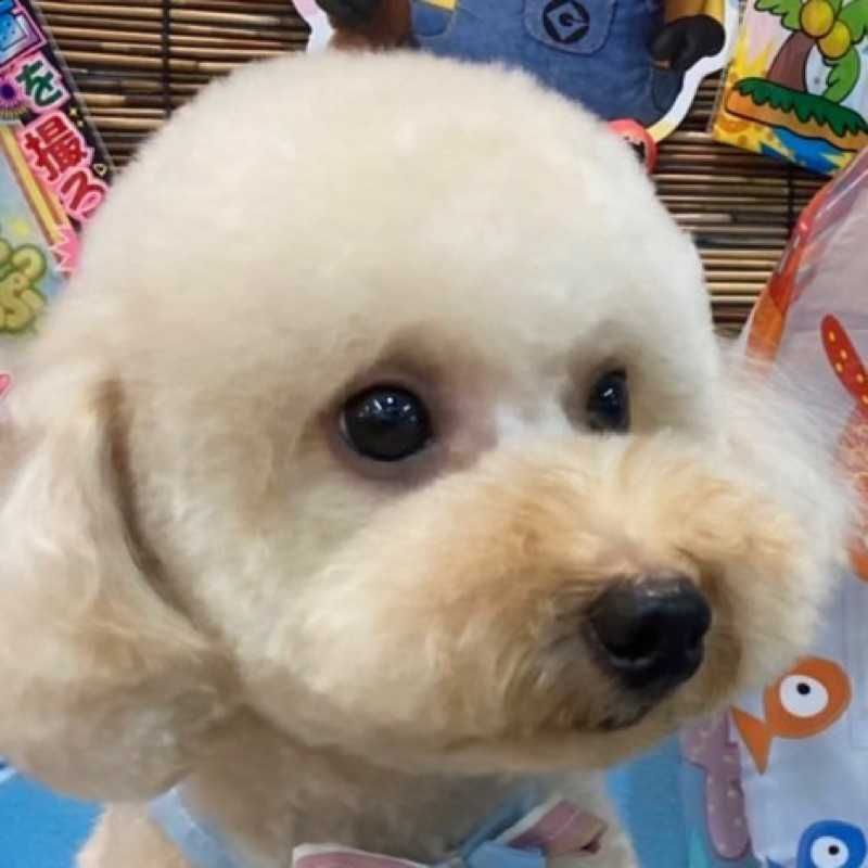 全回収ヒーロー
