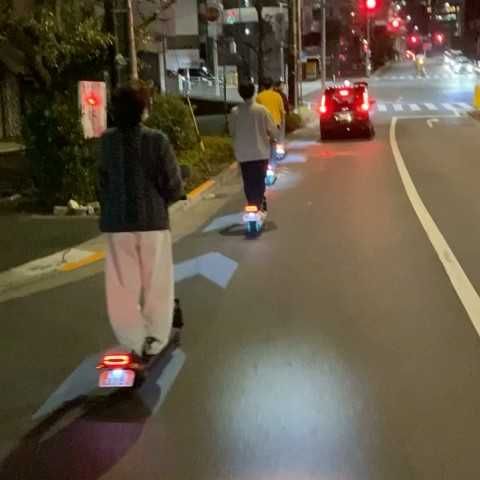 たいせい