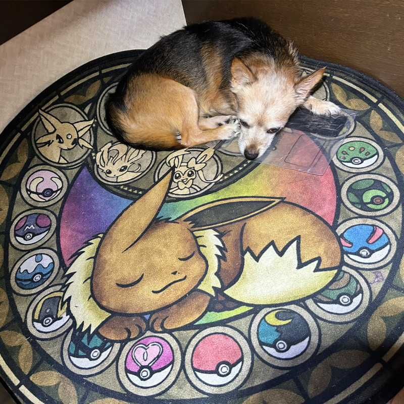たくま