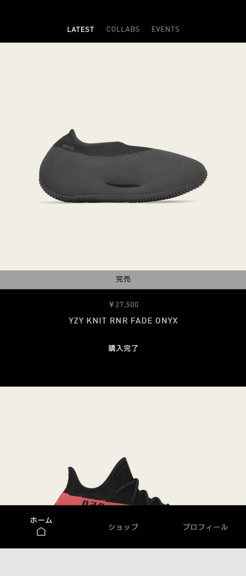 なんだかんだ完売したみたいで…とりあえず購入しました