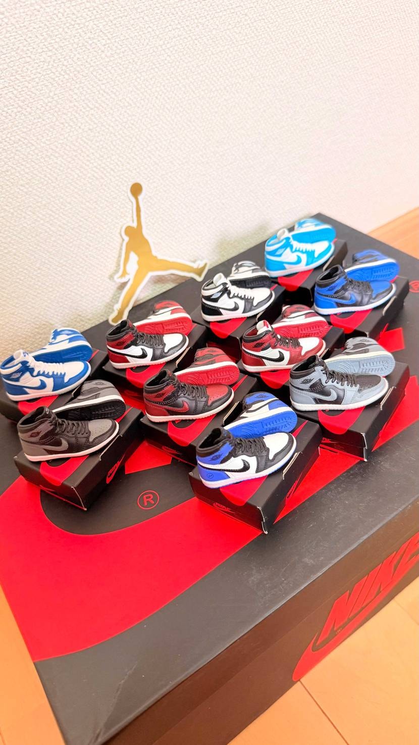 PREMIUM GASHAPON
NIKE Air Jor