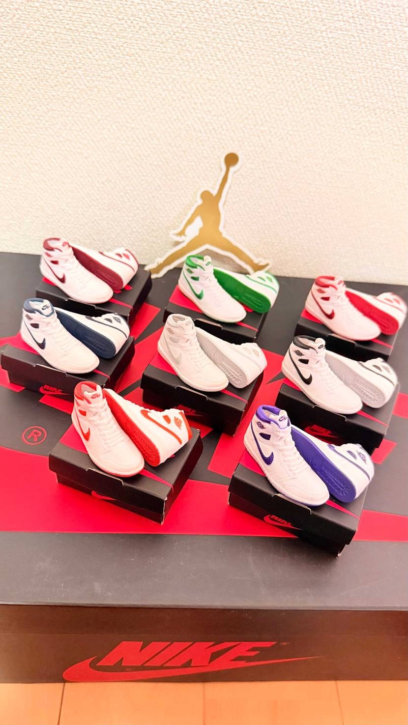 PREMIUM GASHAPON
NIKE Air Jor