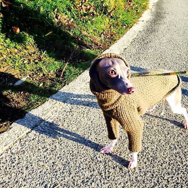 西山