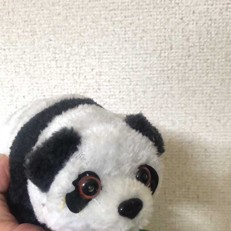 たつを(出品者)