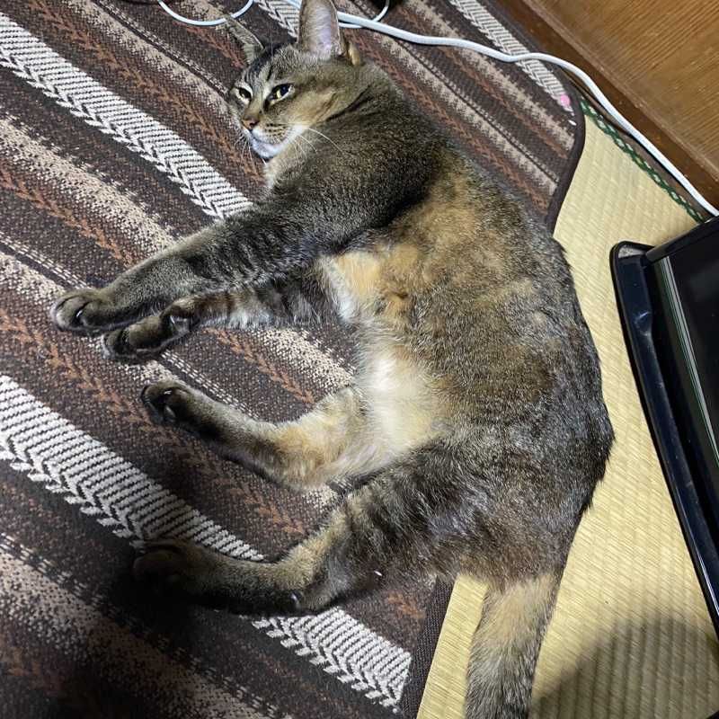 りゅうや