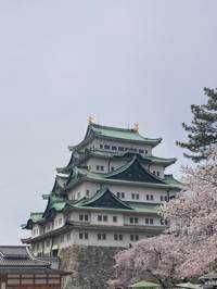 佑海森部