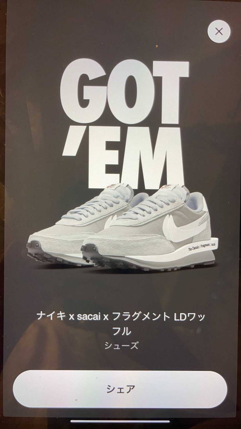 この３日間本気に楽しい！sacai *2 dunk*3 sa