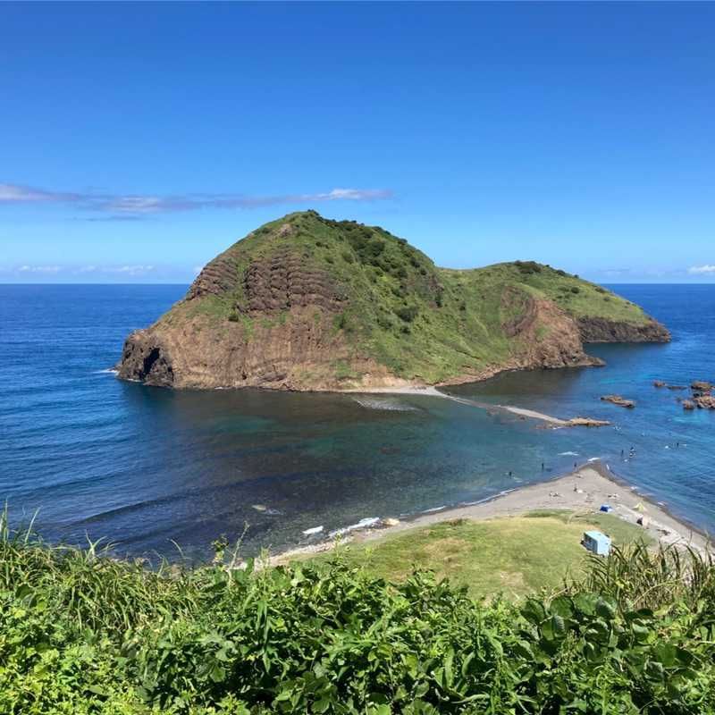 吉田正嗣(出品者)