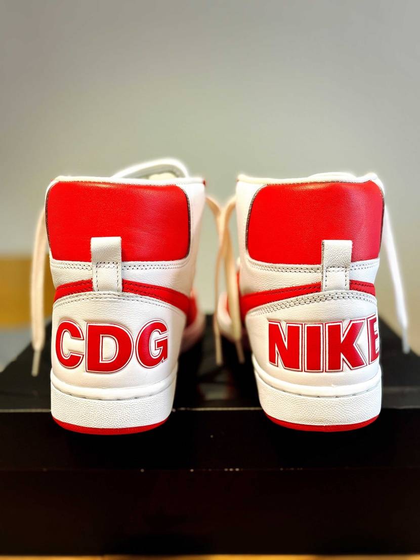 前回の投稿から1週間もしないうちに、今度はCDGターミネータ