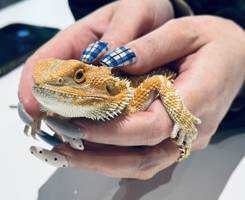 ユーザーアイコン