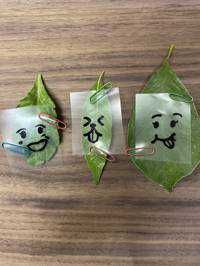 ポケカ好き