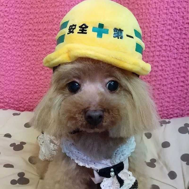 tsuyopon