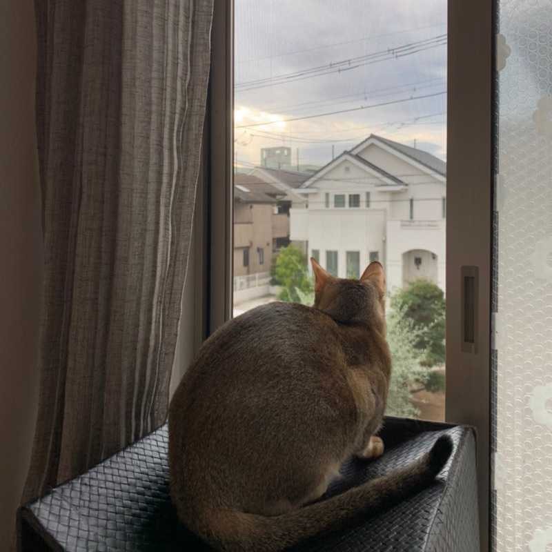 ミライ