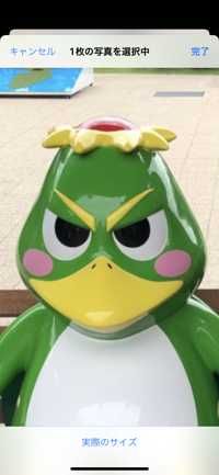 てぃーち