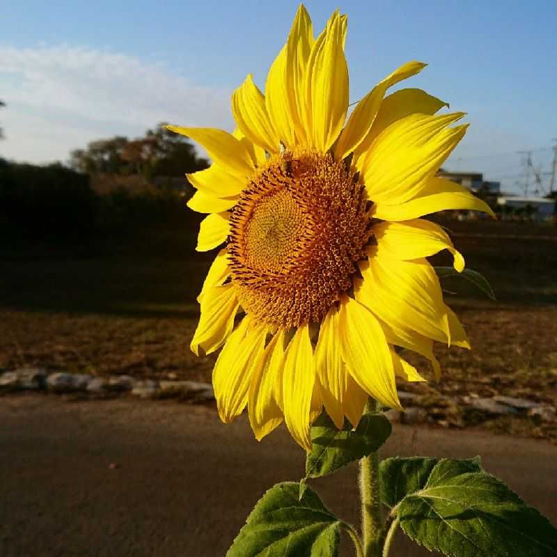 永田です。