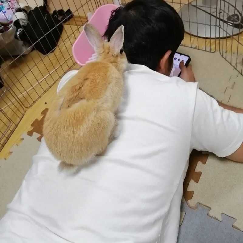 ゆさく(出品者)