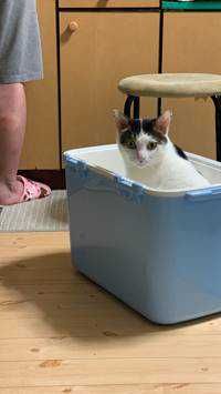 ユーザーアイコン