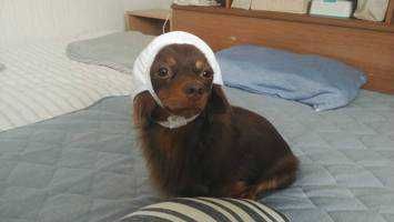 ユーザーアイコン