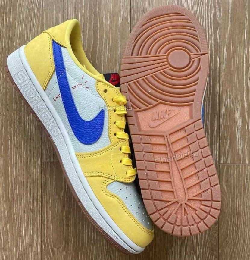 ウィメンズ カナリー
2024Summer