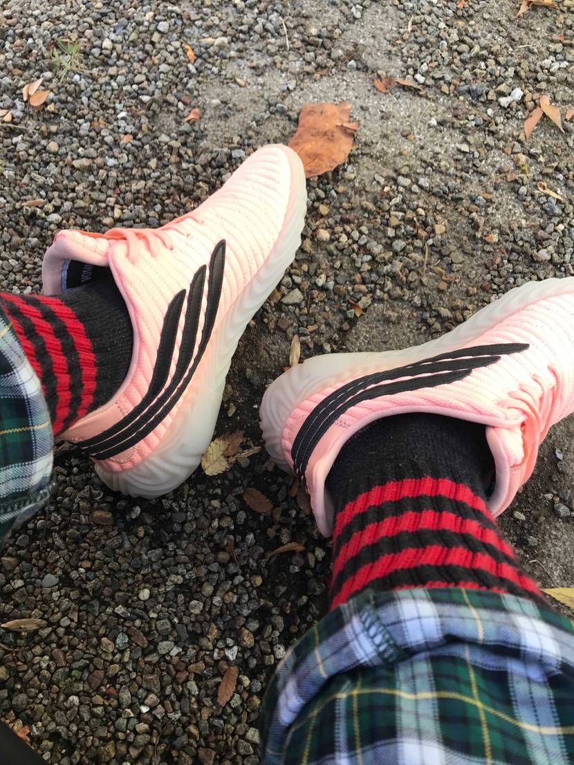 ガラガラGo!!

ワンコとソバコフの散歩へ