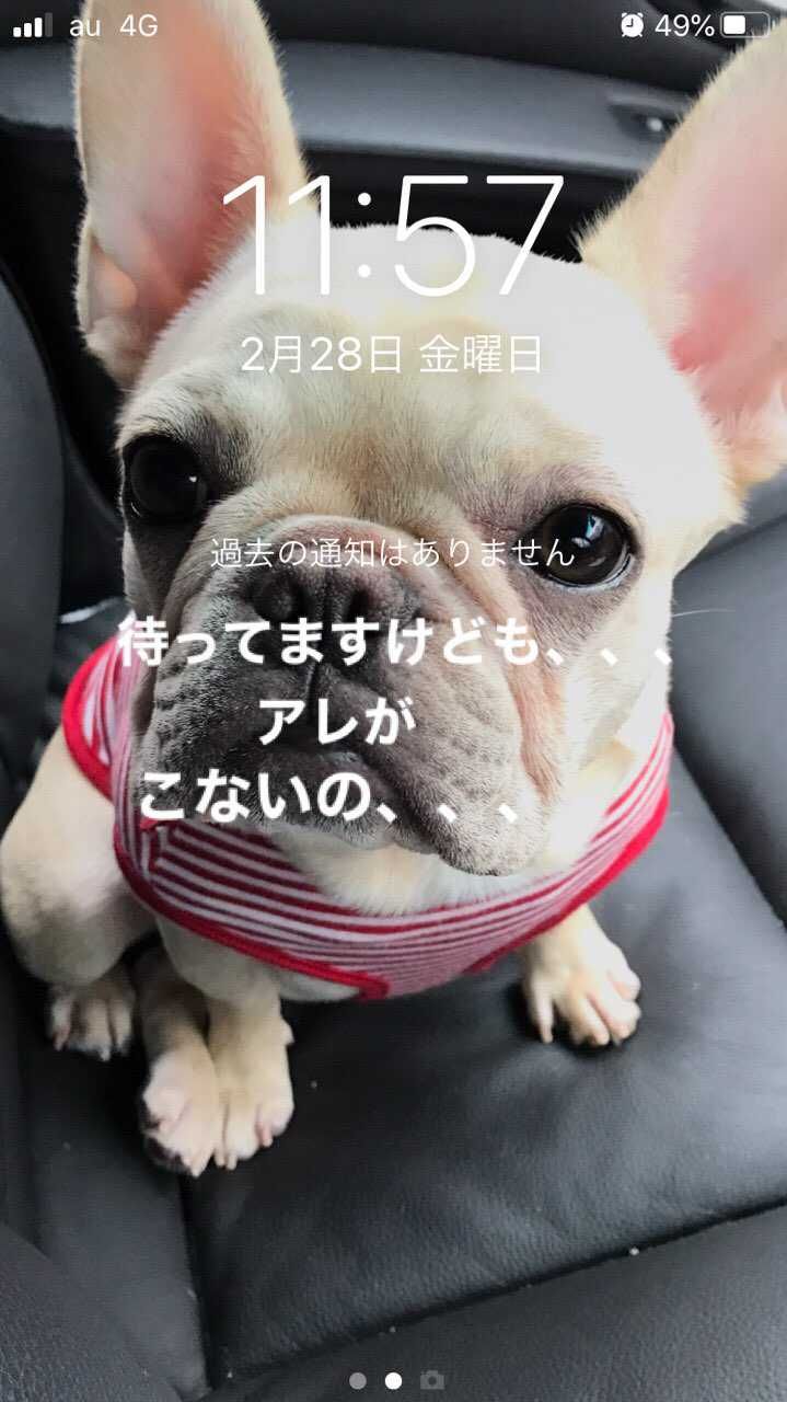 いやはや、、、


まぁそれはどーでもいいとして
インスタで出てきた安全