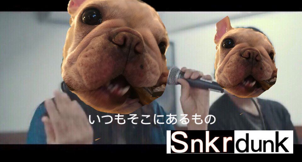 審議願います
これはオッケーという事ですね

スニダンのCMみたいなもので