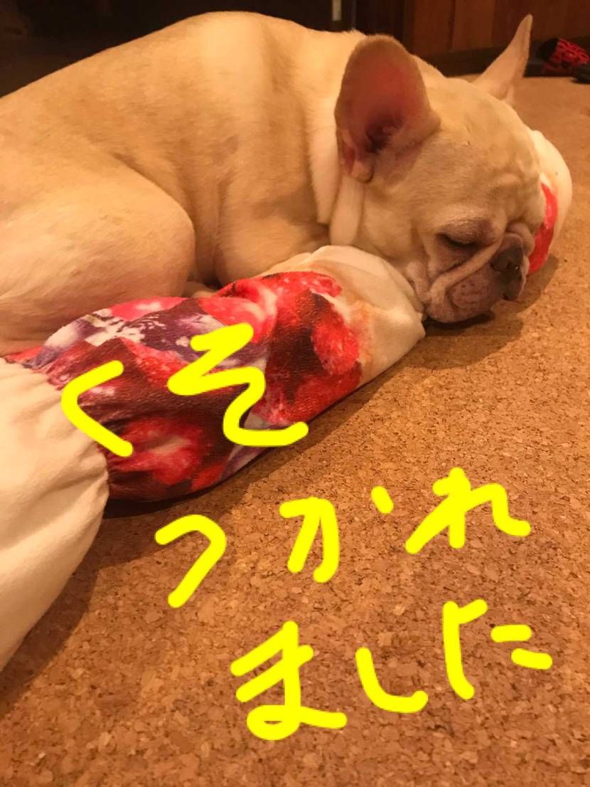 19時前にカートまで行って決済で一からスタート
結果買えな