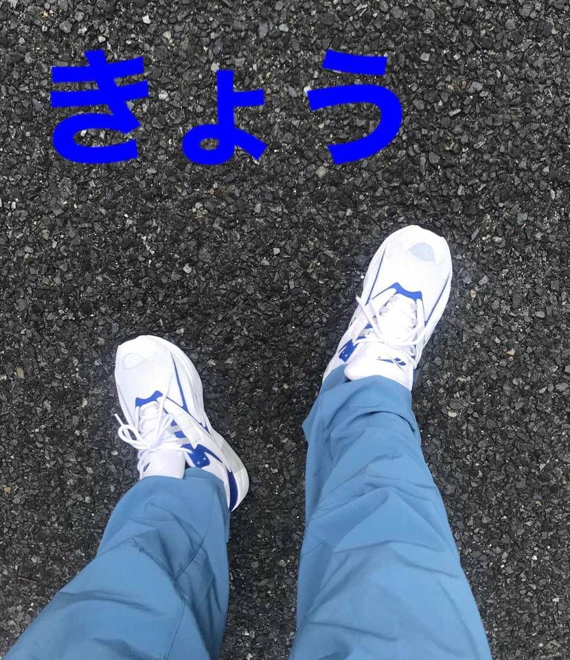 リーボック・ハイテール



インターバルぼちぼち良