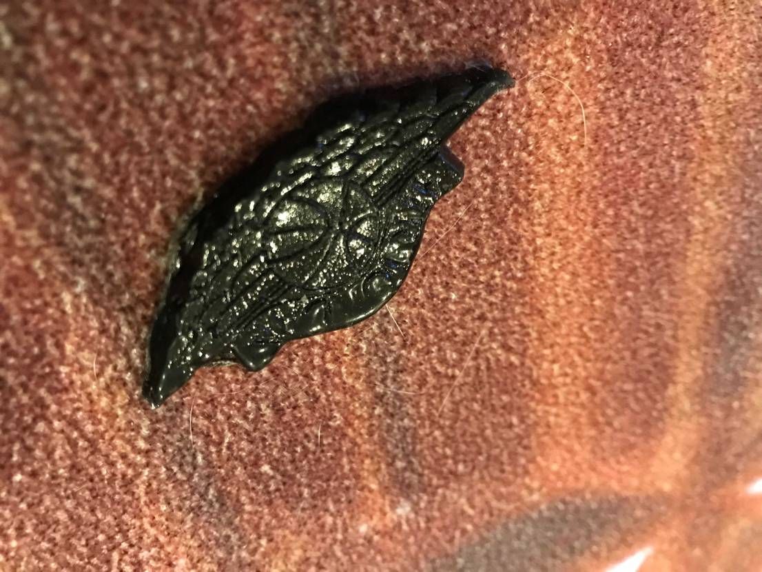 リセールでゴミの用に売られてたジョーダンから取ったウイングロ