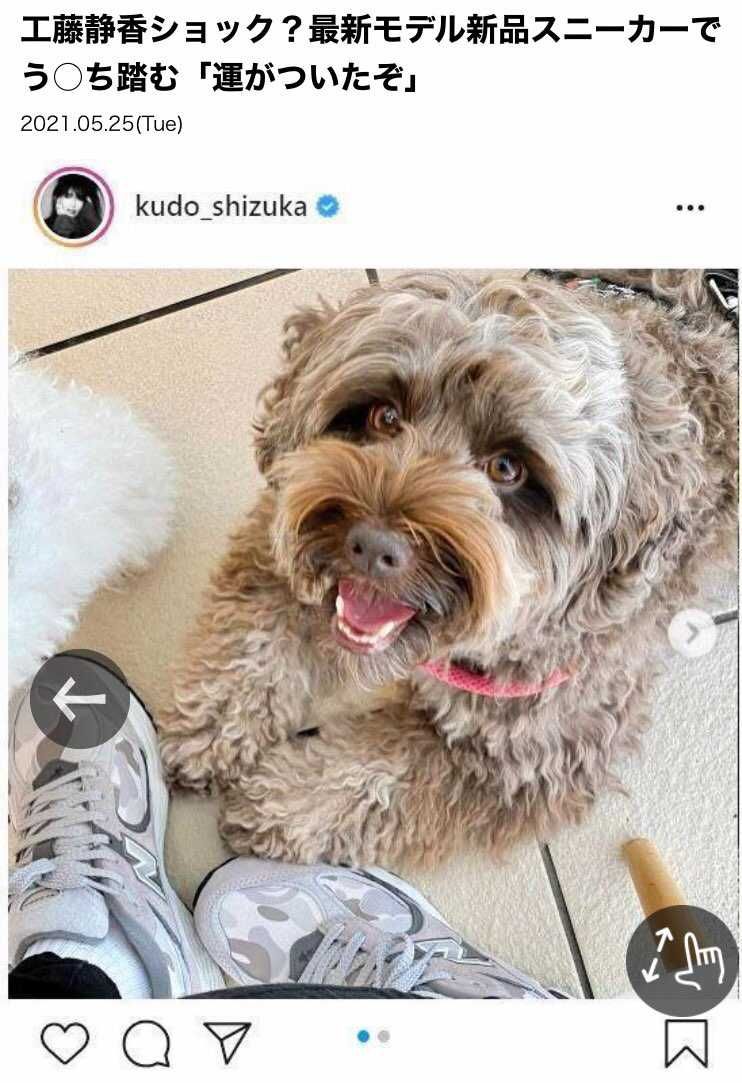 かもねかもねそーかもね