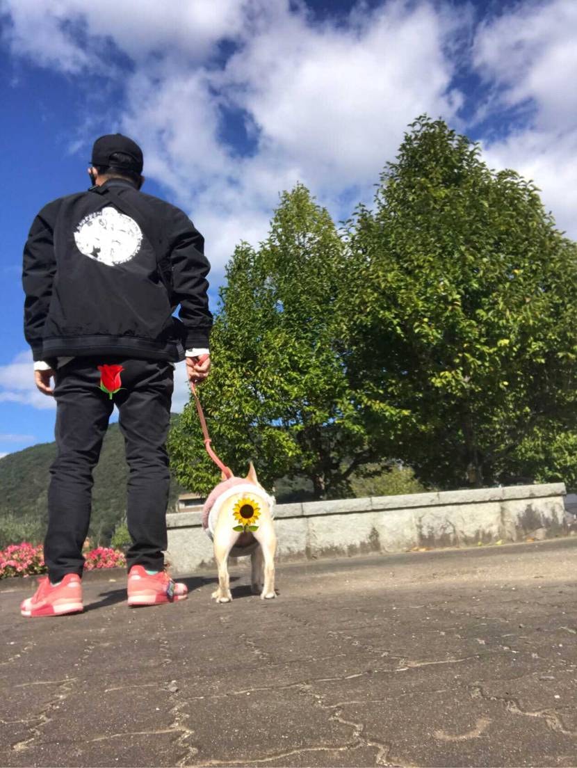 ワンコと公園へピンク合わせ