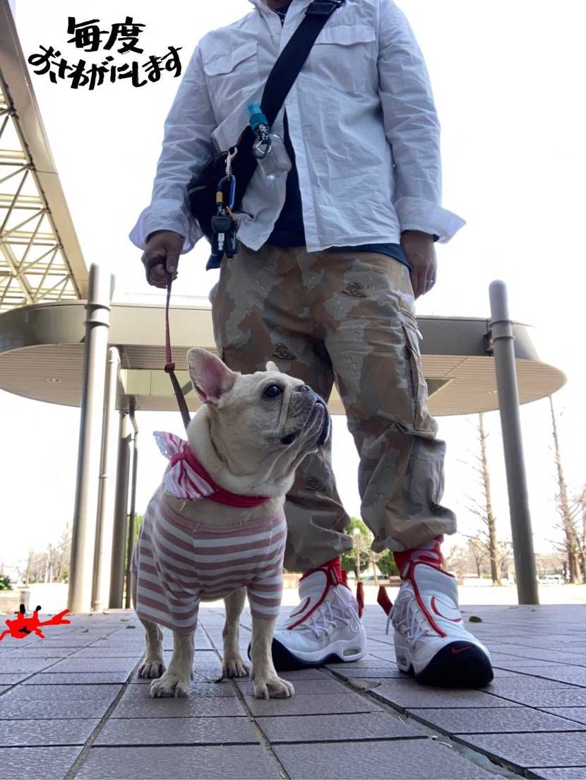 犬メインでお届けします

#犬コーデキャンペーン