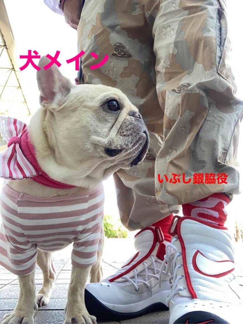 犬メインでお届けします

#犬コーデキャンペーン