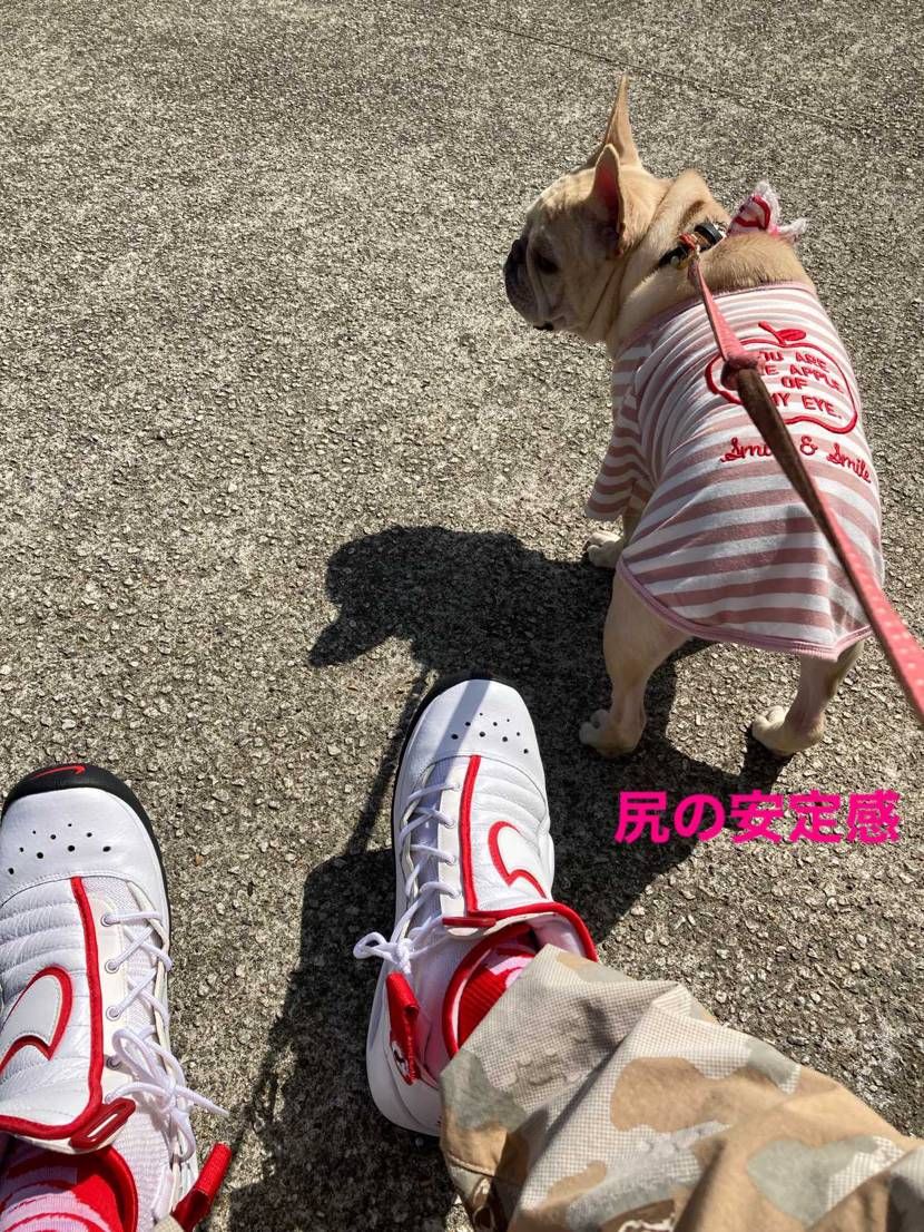 犬メインでお届けします

#犬コーデキャンペーン