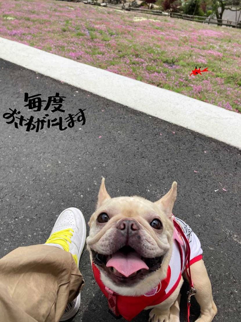 GWいかがお過ごしでしょうか⁉︎

我が家は家でまったりしております
GW