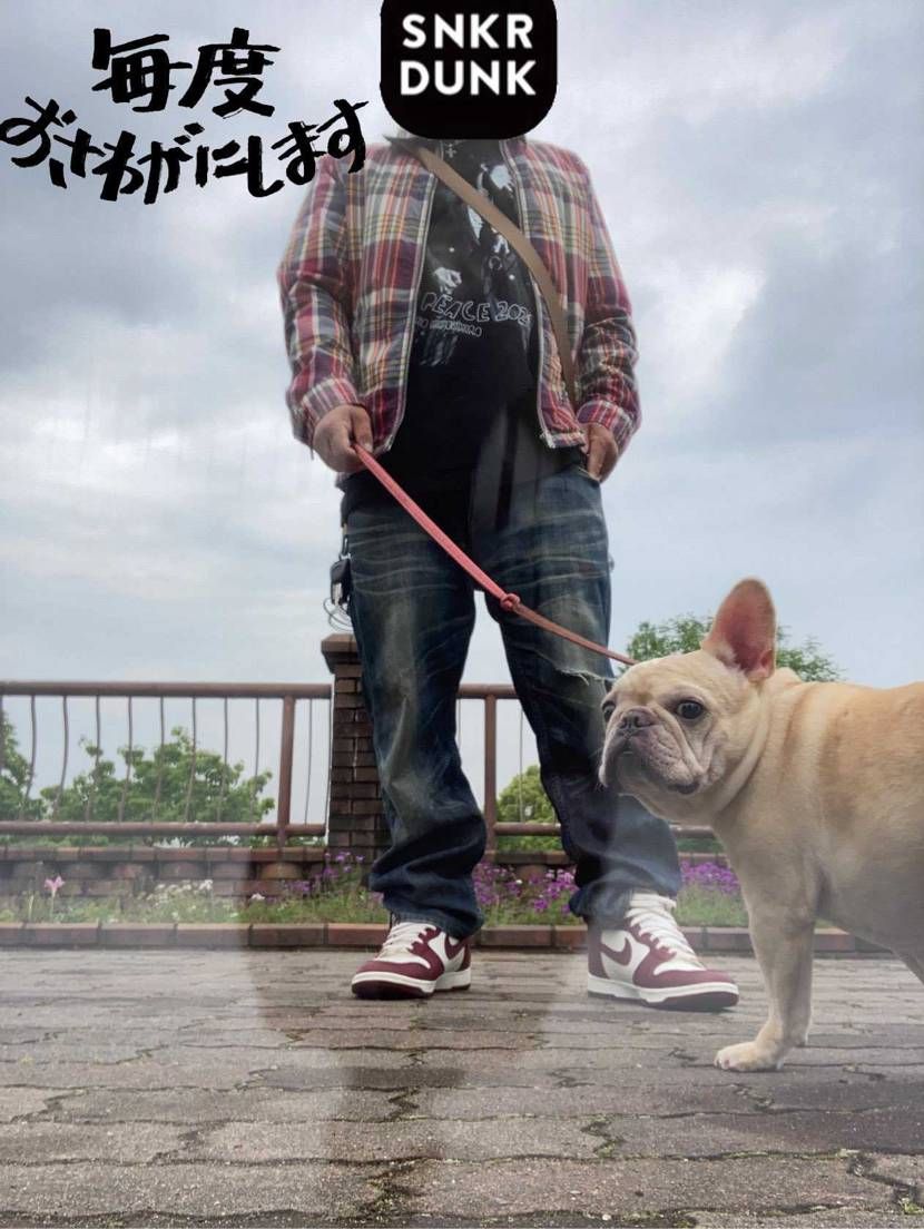 ファミコンダンクと犬ときょーしろー