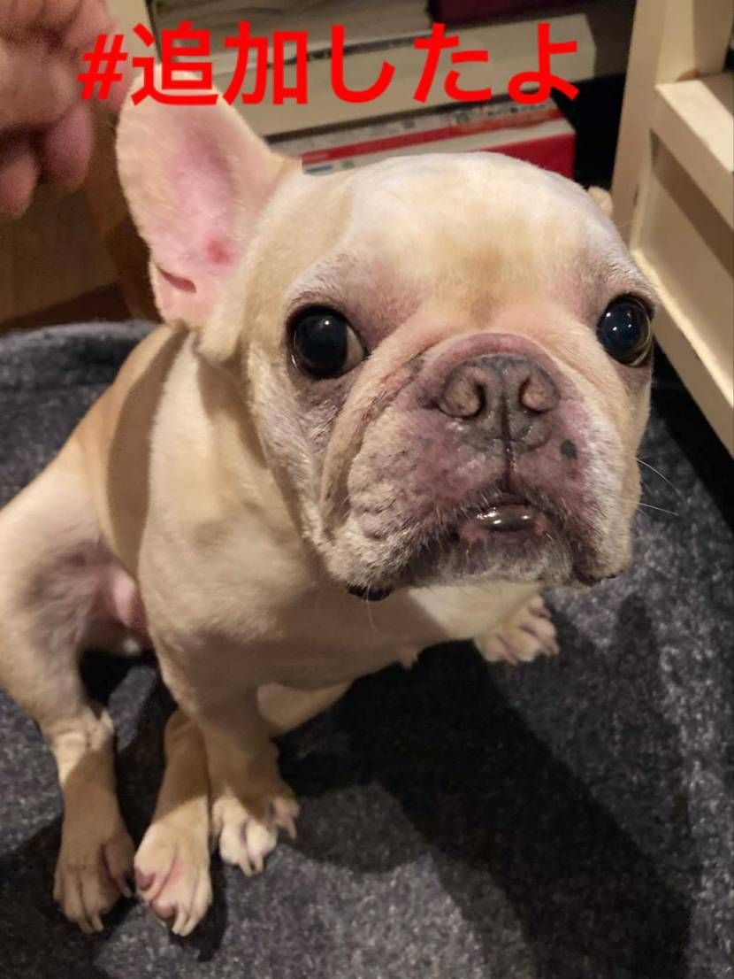 ようやく購入
お盆休みは　自宅フェスします

ファイヤ