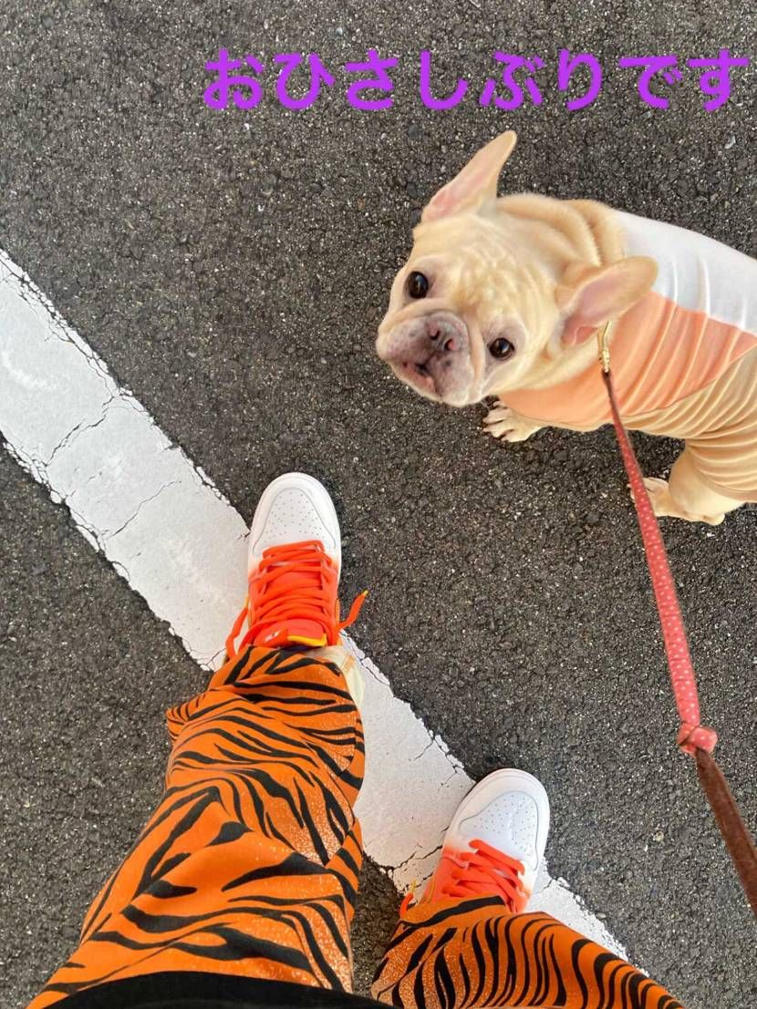 HA HA HA HALLOWEEN🎃


っていつよ