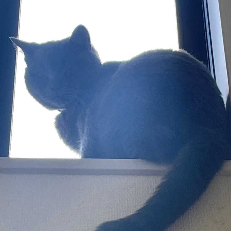 yuuma